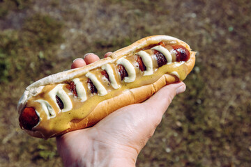 Man hand holding tasty local Icelandic food hot dog called pylsur outdoors in nature. Also called...