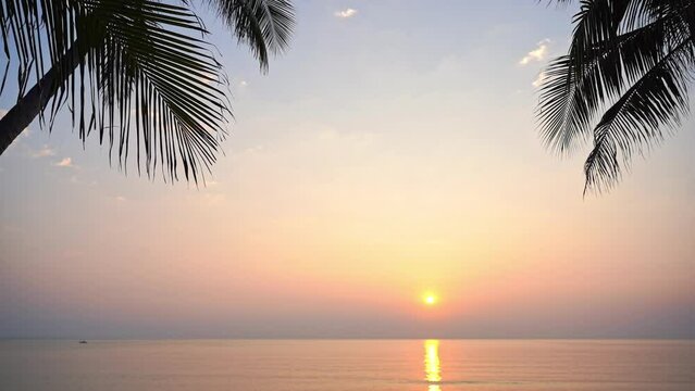 Majestic Sunset Above Ocean, Purple Horizon, Silhouettes of Tropical Trees