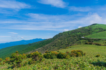 Fototapeta na wymiar 夏の伊豆半島　高原のトレッキングコースから見る風景