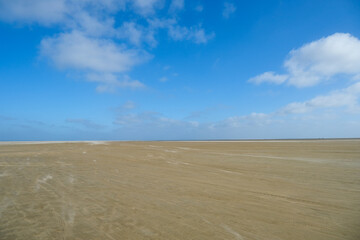 Fototapeta na wymiar Empty sandy beach on the north sea, windy weather