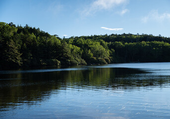 北八ヶ岳白駒の池　長野県
