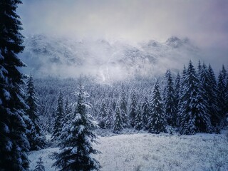 Tatras in the snow