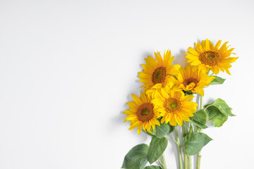 Beautiful sunflowers on white background. Flat lay, top view, copy space © prime1001
