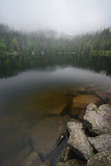 lac vert with foggy forest 2