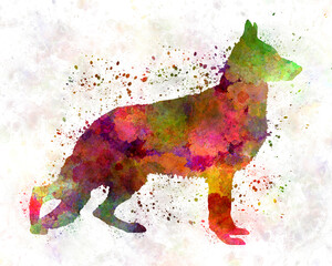 German Sherpherd dog 01 watercolor
