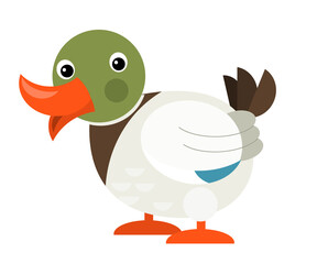 Cartoon happy farm animal cheerful duck illustration