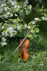 A violin in a blooming garden stands by a tree in the garden