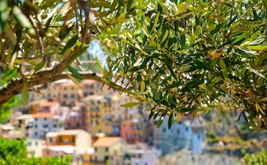 Schapenvacht deken met patroon Liguria Travel to Cinque Terre (English Five Lands). Aerial view over Manarola architecture landmark village at the coast of Liguria Sea from Italy. 