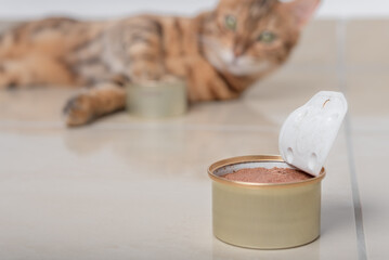 Opened can of wet cat food.