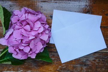 Greeting card mockup on wooden background with pink hydrangea. Empty envelope and place for text. Greeting card. Postal service. Pink flowers on wooden background
