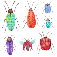 Set of colorful insects on a white background. Watercolor illustration. Collection. Elements. Bugs. Nature. Insect world. Handmade work. Art. Design. Wildlife. Sketch. Bright.