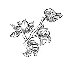 Orchid branch Circuit. Vector illustration for prints, wall art, cover and invitation.
