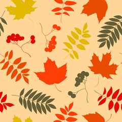 Fototapeta premium Pattern of variety of colorful trendy autumn leaves. Vector illustrations for web, app and print. Elegant shapes floristic isolated maple, rowan and oak leaves. Forest, botanical, minimalistic floral