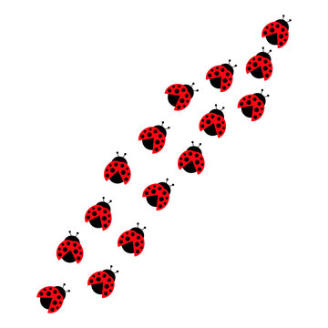 Ladybugs line group. Cute ladybirds trail set. Vector illustration isolated on white.