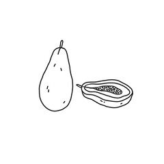 Papaya outline icon. Fruit, healthy nutrition, organic food. Hand drawn line vector illustration.