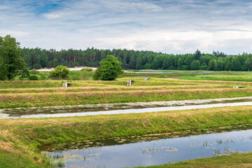 Echo ponds in the Roztocze National Park. View towards the dunes and the beach. Zwierzyniec, Poland