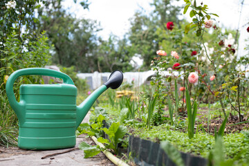 Watering can standning near the flowers. Green watering ca in the flower garden - obrazy, fototapety, plakaty