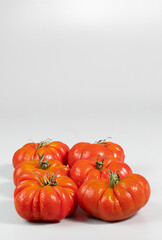 A group of Costoluto big tomatoes on a grey background, space for text