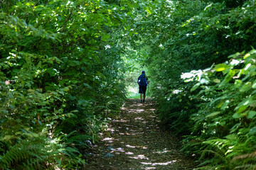 randonneur marchant sur un sentier dans la for&ecirc;t