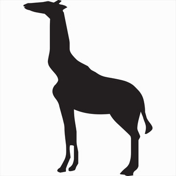 Vector, Image Of Giraffe Silhouette Icon, Black And White Color, With Transparent Background

