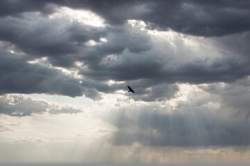 skyscape