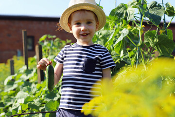 A boy with red hair holds a cucumber in the garden