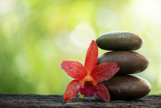 Zen stones and cattleya flower on bokeh nature background.