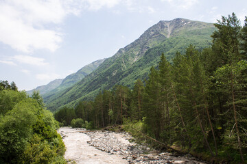 Fototapeta na wymiar Pastoral landscape - the Terskol mountain river flows in the mountains between the slopes of high cliffs among bright green trees on a sunny summer day in the Elbrus region of Russia