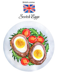 Scotch Egg on white plate illustration watercolor