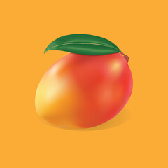 illustration of an mango with leaf