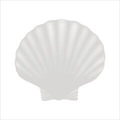 seashell 3d realistic vector illustation.