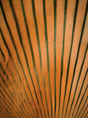 Texture of a hall ceiling