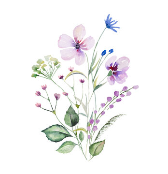 Bouquet made of watercolor wildflowers and leaves, wedding and greeting illustration