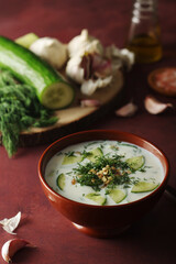 A bowl with Tarator cold soup - traditional Bulgarian dish