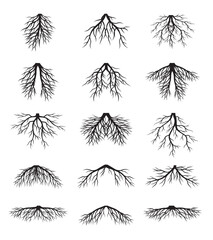 Set black Roots. Vector graphic.