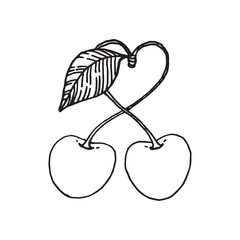 Cherry illustration on isolated white background