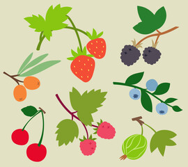 Collection of berries. Natural food in flat style.