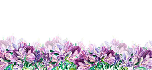 Naklejka premium Banner Rosemary with large purple flowers on a white background. Twig with flower. Watercolor illustration of spices for cooking. Botanical provencal herbs. Suitable for postcards, website, design.