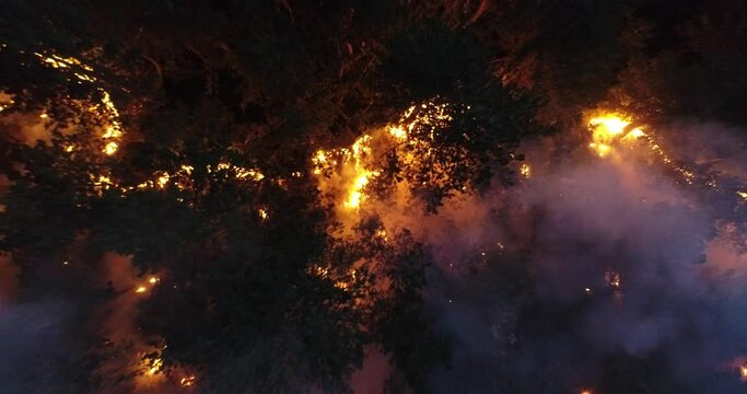 Aerial panoramic view of a forest fire at night, heavy smoke causes air pollution, and fire in full blaze. Natural disaster epic drone cinematic shot.