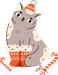 Funny cat in hat, red socks and with candy cane. Cartoon animal celebrating Christmas and New Year theme. Vector illustration for winter holidays greeting cards