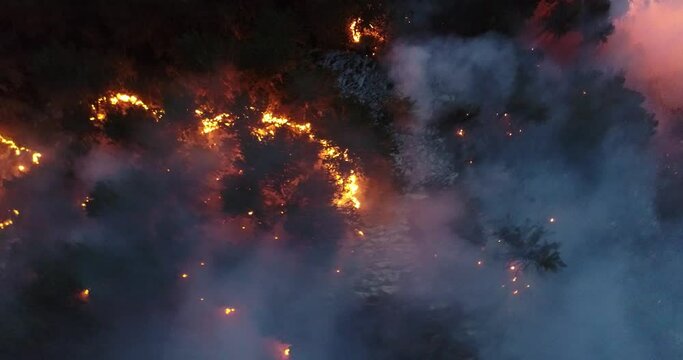 Aerial panoramic view of a forest fire at night, heavy smoke causes air pollution, and fire in full blaze. Natural disaster epic drone cinematic shot.