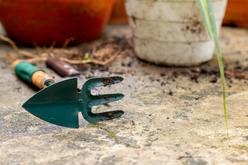 Close-up of dual-purpose gardening tools lying on the ground.