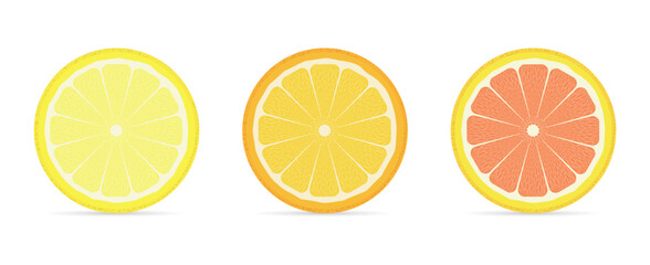 Fototapeta premium Round slices of citrus fruits. Lemon, orange, grapefruit. Vector illustration.