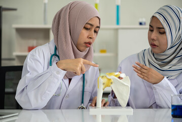 Young Muslim scientist woman learning frozen shoulder symptoms from  shoulder model, Science...