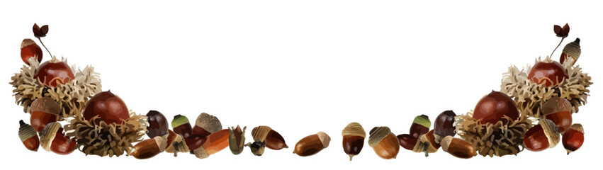 秋　コレクション　どんぐり © erink stock