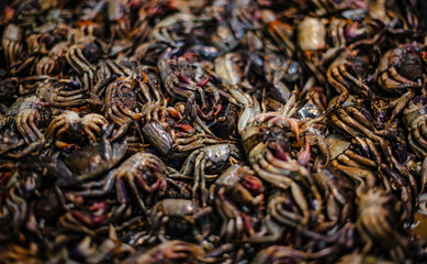 Pickled crabs for making papaya salad are available at Amorn Nakhon Naklua Fresh Food Market, Thailand.