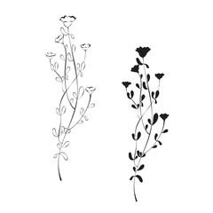 Vector icon of flowers. Botanical illustration of a flower in black. Design element. Sketch for tattoos, greeting cards, blogs, posters. 
Design for printing on textiles, clothing.
