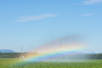 irrigation machine on a green field on a flat landscape with rainbow detail