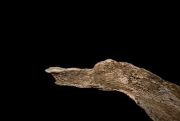 Fototapeta premium Driftwood carved by water in the shape of a bird
