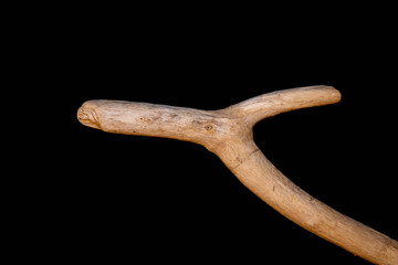 Driftwood carved by water in the shape of a dragon